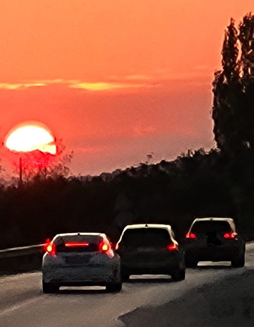 September – Simply Switch Off